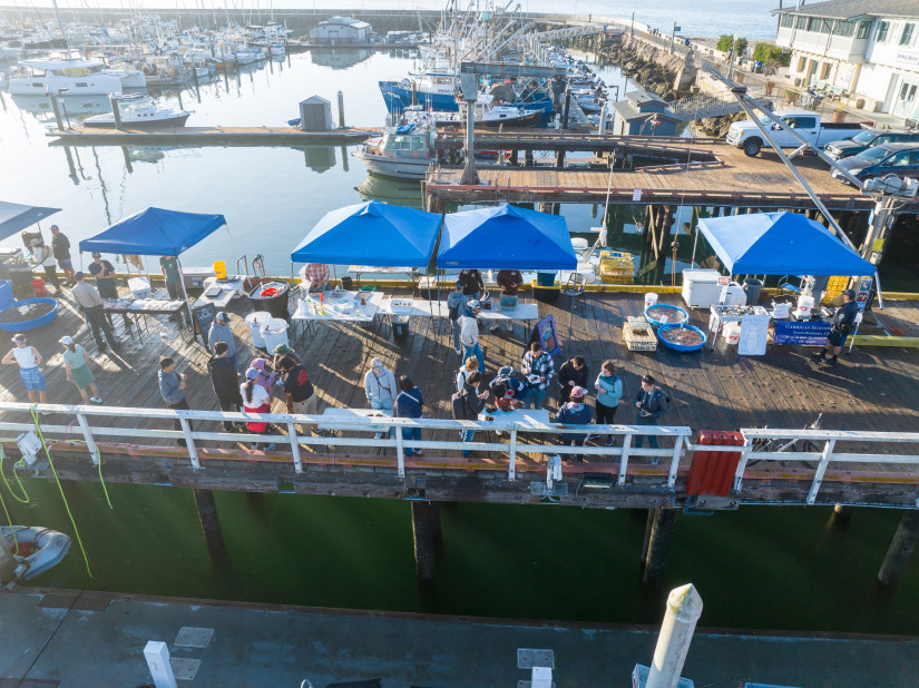 aerial view of santa barbara fishermen's market