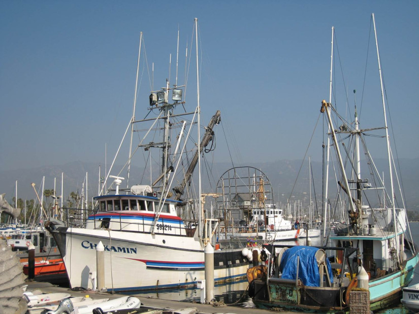trawl boats in the harbor