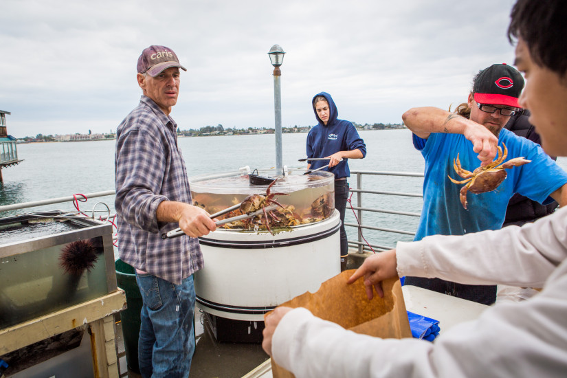 fisherman selling crab to customer at fishermen's market