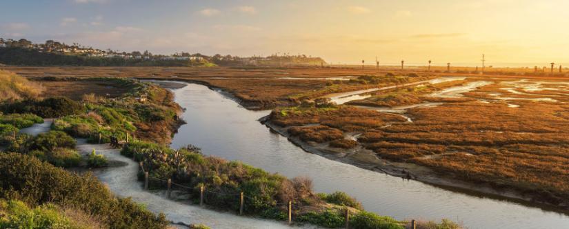San Elijo Lagoon, Encinitas. Photo by Marcel Fuentes.