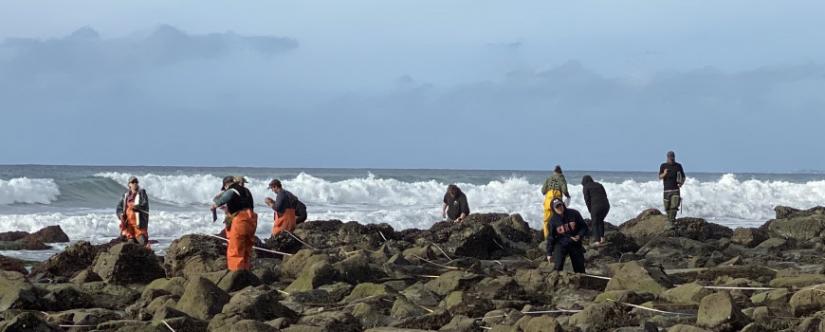 People tidepooling in la jolla
