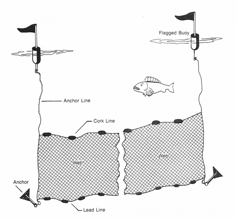 How to set a gillnet under the ice 