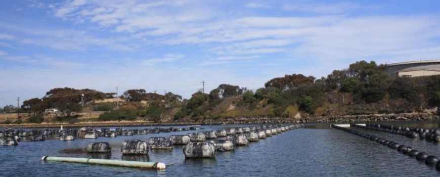 case study carlsbad Case study: batiquitos lagoon, carlsbad links to introductory animation and pre-lab activity interactive animation “coastal evolution: coastal response to sea. case study carlsbad Case study: batiquitos lagoon, carlsbad links to introductory animation and pre-lab activity interactive animation “coastal evolution: coastal response to sea.