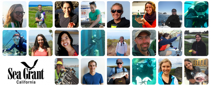 Twenty-two graduate students and recent graduates have been awarded competitive California Sea Grant State Fellowships.