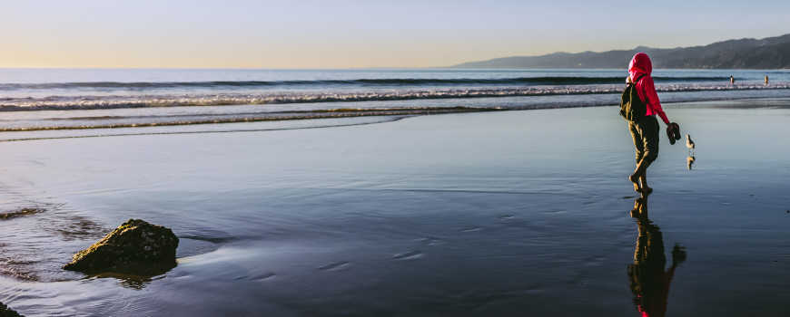 From Condors To Oysters California Sea Grant Funds New Coastal From Condors To Oysters California Sea Grant Funds New Coastal Research