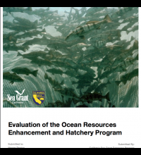 Evaluation of the Ocean Resources Enhancement and Hatchery Program