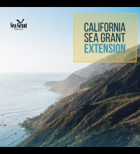 cover image extnsion brochure
