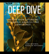 deep dive cover image cover image