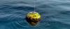 CDIP buoy