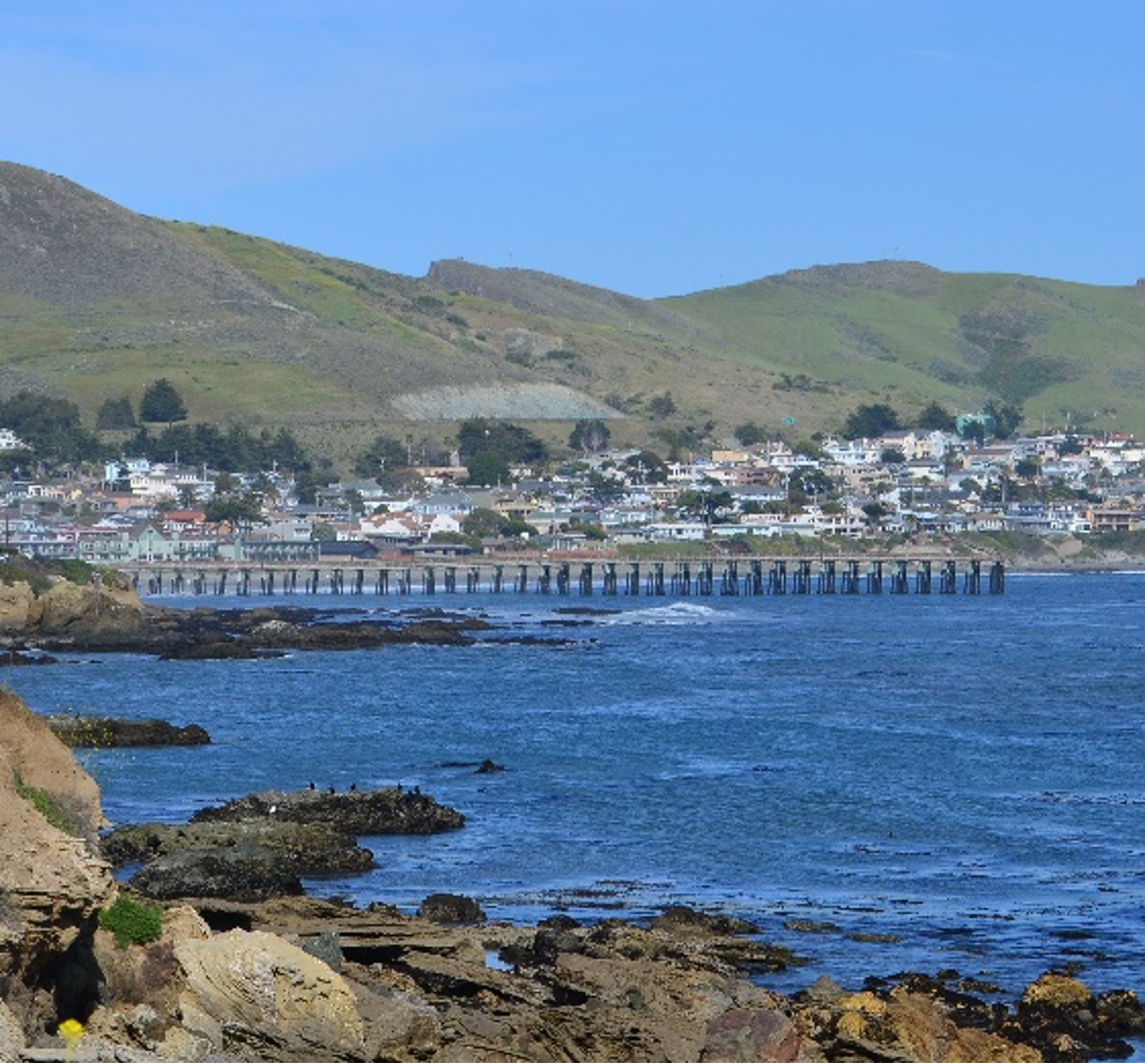 Coastal view with a pier and a town in the background