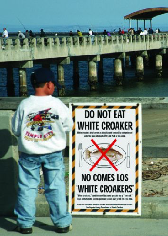 Man standing next to an advisory sign for white croaker