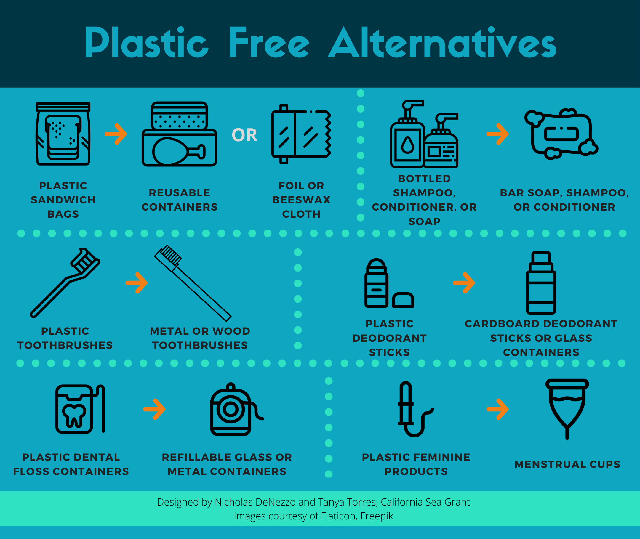 Infographic of plastic free alternatives